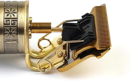 iStar-ST CS-3034 Professional Hair Clipper – USB-C Rechargeable, Dragon Design, Gold