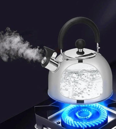 Condere 3.5L Whistling Kettle – CN758A